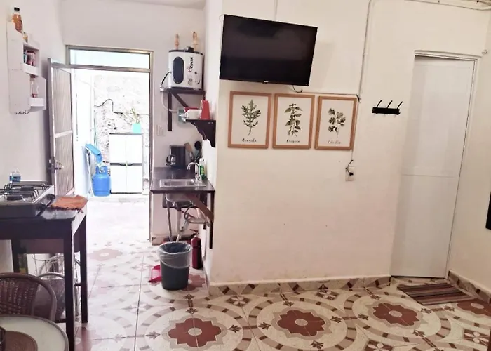 Cozy Studio Near Beach & Ferry